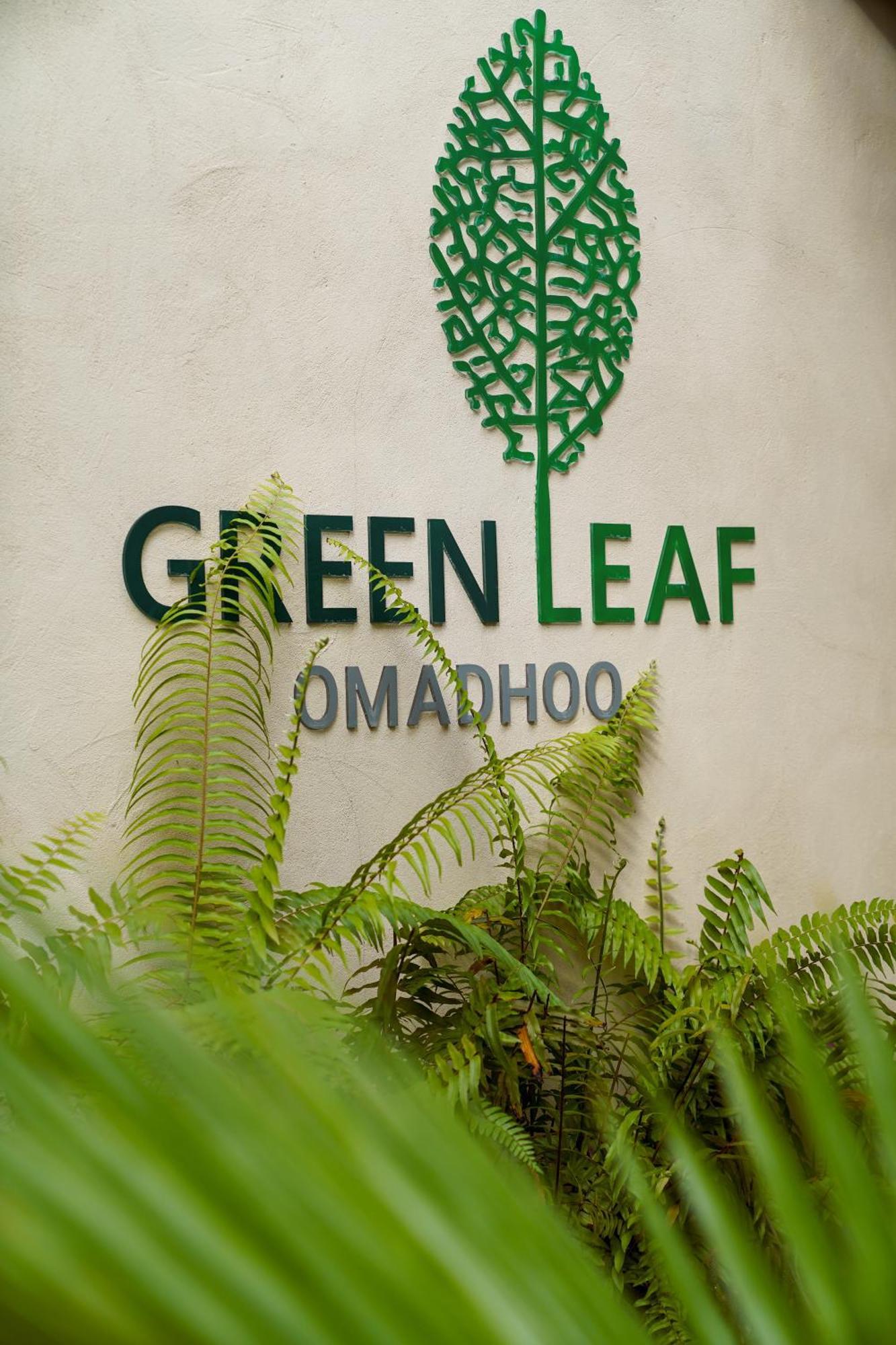Green Leaf Guest House - Omadhoo Esterno foto